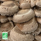 Shiitake frais Bio