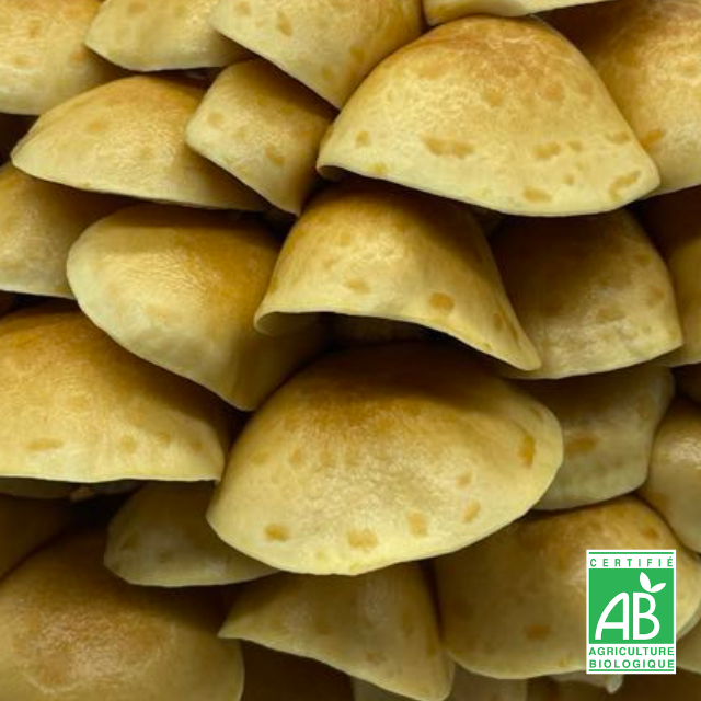 Nameko Frais