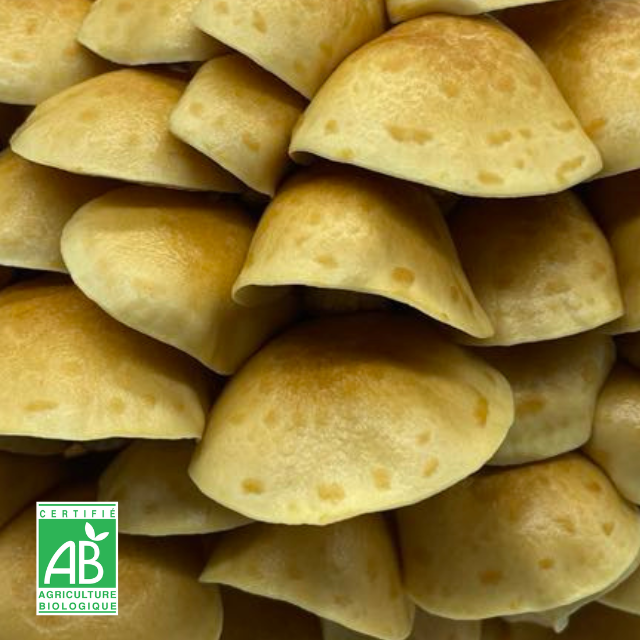 Nameko Frais