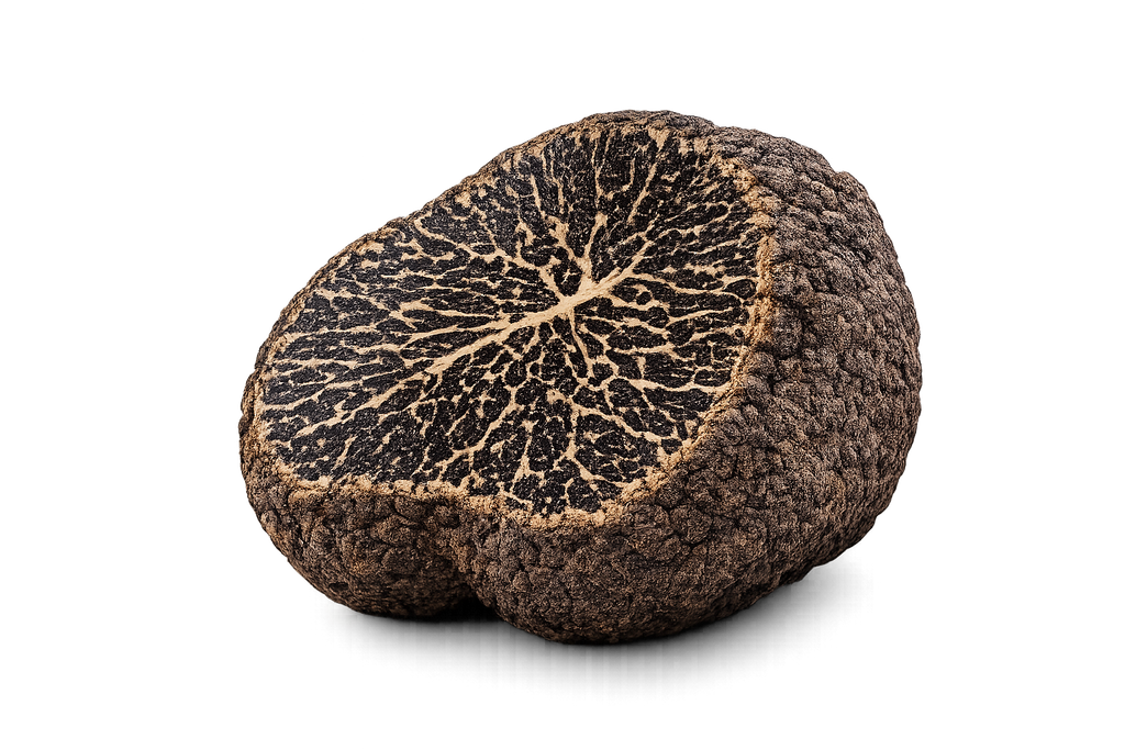 Intérieur de truffe brumale fraîche Tuber brumale coupée