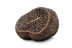 Intérieur de truffe brumale fraîche Tuber brumale coupée