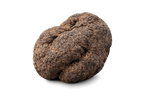 Truffe noire fraîche Tuber melanosporum deuxième choix, origine France Drôme Ardèche