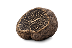 Truffe noire fraîche Tuber melanosporum deuxième choix, origine France Drôme Ardèche