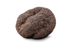 Truffe noire fraîche Tuber melanosporum Premier choix, origine France Drôme Ardèche