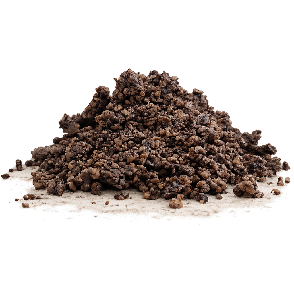 brisure truffe noire fraîche tuber melanosporum france drôme ardèche