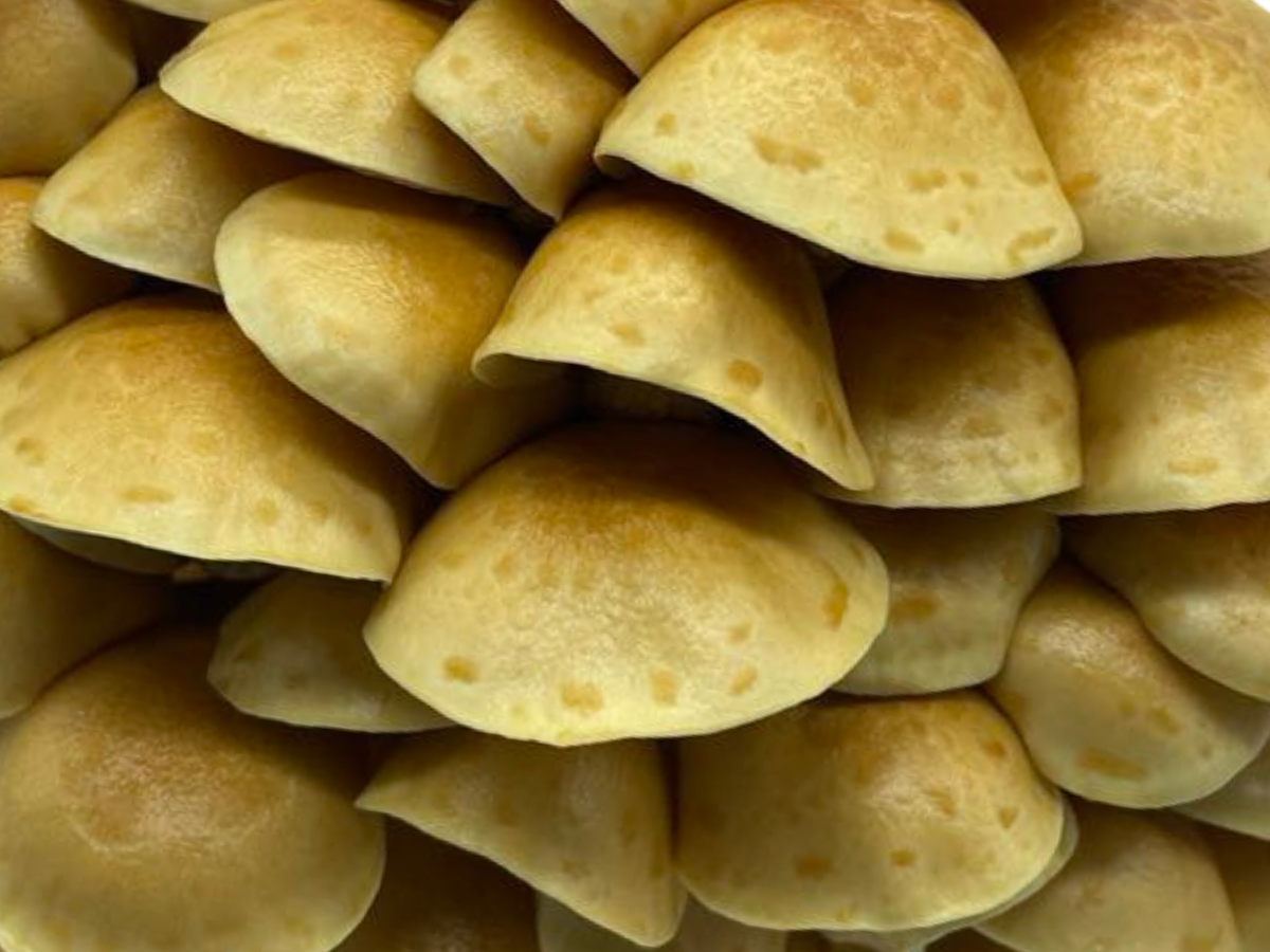 détail nameko surface brillante ambrée